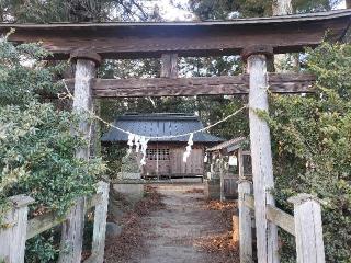 温泉神社の参拝記録(さとみさん)