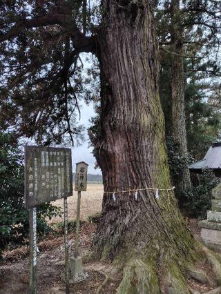 温泉神社の参拝記録(zx14rさん)