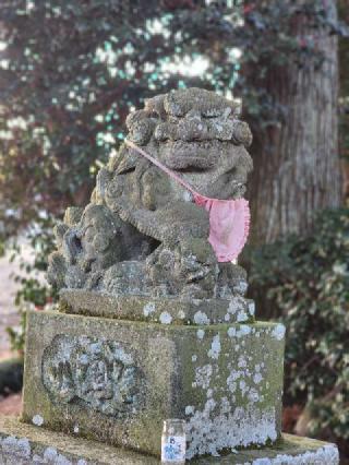 温泉神社の参拝記録(たけちゃ～ん⚾さん)