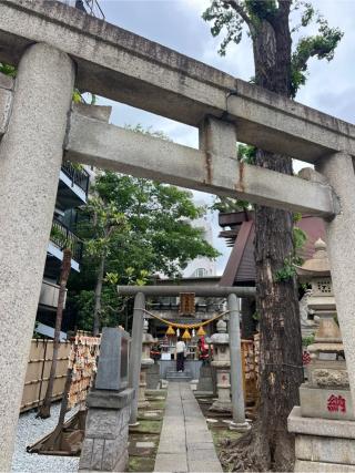 気象神社の参拝記録(⛩️🐍🐢まめ🐢🐍⛩️さん)