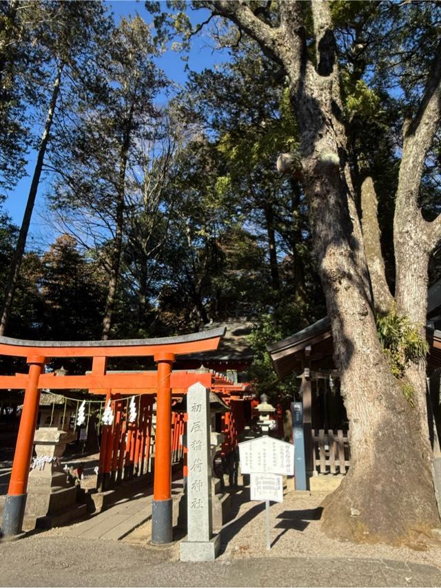 初辰稲荷神社（宇都宮二荒山神社末社）の参拝記録8