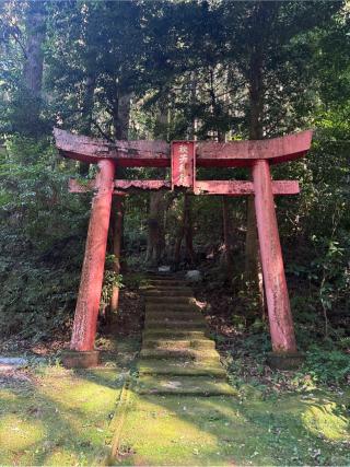 秋芳稲荷宮の参拝記録(コットンさん)