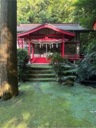 秋芳稲荷宮の参拝記録(コットンさん)