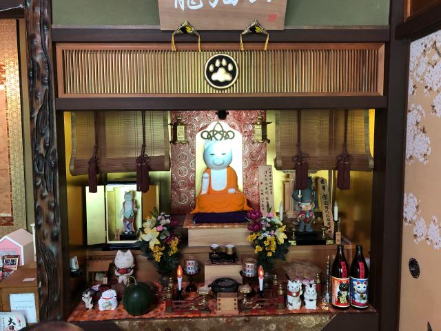 猫猫寺の参拝記録(nikoさん)