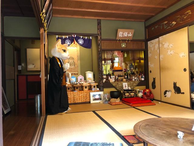 猫猫寺の参拝記録(nikoさん)