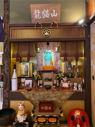猫猫寺の参拝記録(げんさん)