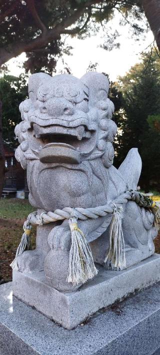 森町稲荷神社の参拝記録(モスコットさん)