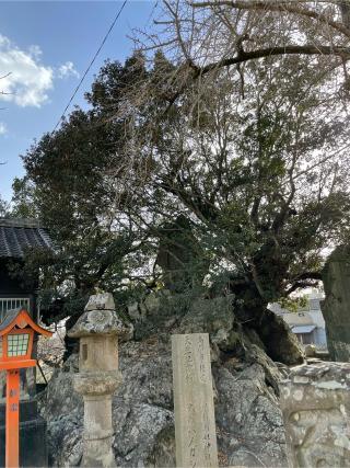 市杵姫島神社の参拝記録(フクタロウさん)