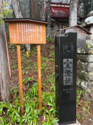 宣澄社（戸隠神社 中社）の参拝記録(⛩️🐍🐢まめ🐢🐍⛩️さん)