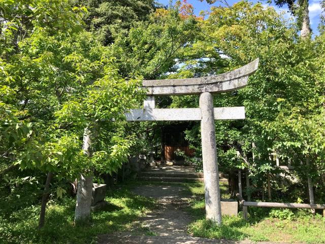 長野県伊那市高遠町東高遠２０３１ 新城藤原神社の写真1