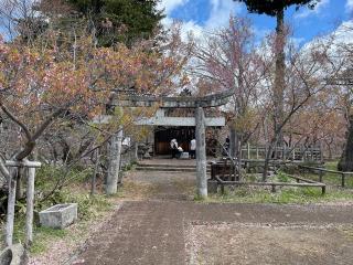 新城藤原神社の参拝記録(あまぞんさん)