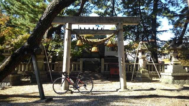 愛知県碧南市弥生町 棚尾神社の写真3