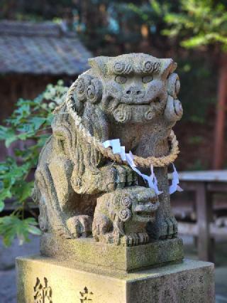 新山神社の参拝記録(たけちゃ～ん⚾さん)