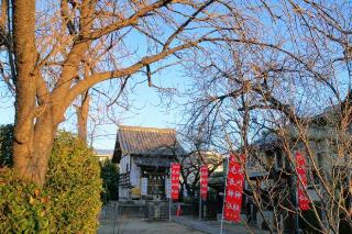 新里氷川神社の参拝記録(thonglor17さん)