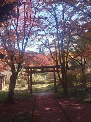 鳥見神社 (鳥見山中霊畤跡)の参拝記録(かいちゃんさん)