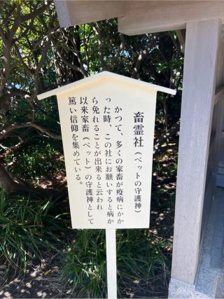 蓄霊社(森戸大明神境内社)の参拝記録(⛩️🐍🐢まめ🐢🐍⛩️さん)