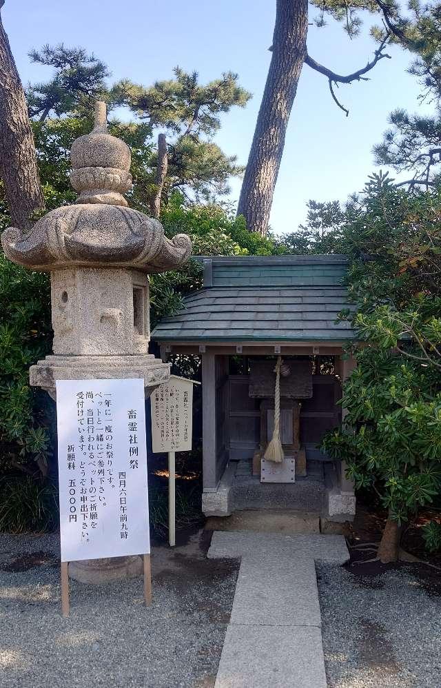 蓄霊社(森戸大明神境内社)の参拝記録3