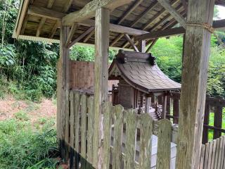湯崎神社の参拝記録(智恵子さん)