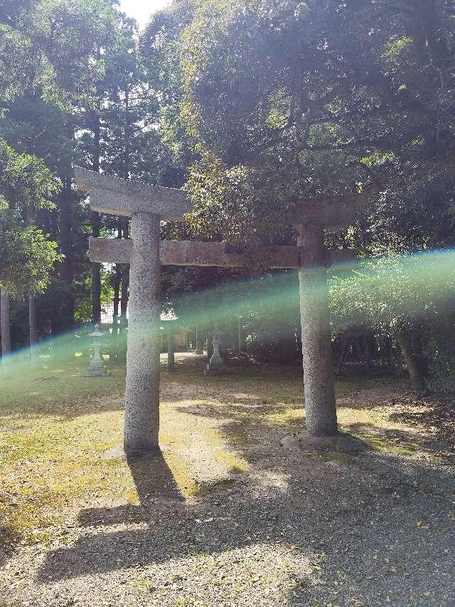 佐賀県佐賀市三瀬村大字三瀬409-1 杉神社の写真3