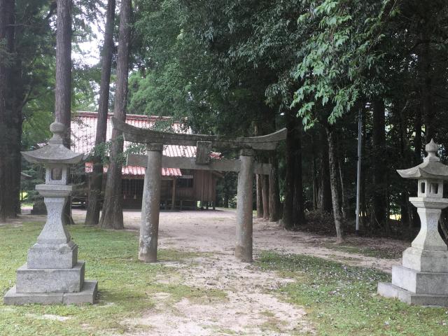 杉神社の参拝記録(ニャン平さん)