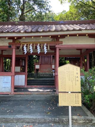 居森社(津島神社 摂社 須佐之男命幸御魂)の参拝記録(恭子さん)