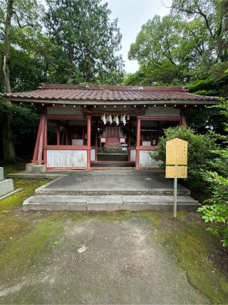 居森社(津島神社 摂社 須佐之男命幸御魂)の参拝記録(こーちんさん)