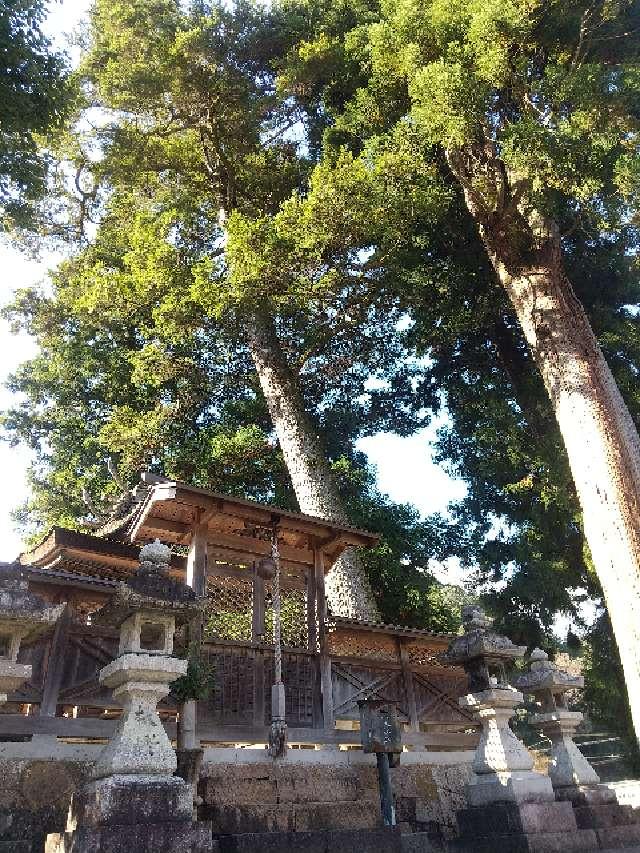 奈良県吉野郡吉野町大字六田４０５ 丹生神社 (吉野町六田)の写真3