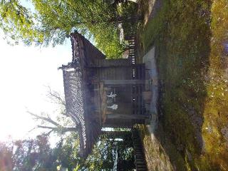 熊野神社の参拝記録(さささん)