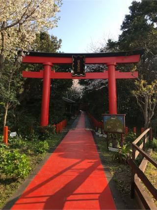 浦島稲荷神社の参拝記録(placerisierさん)