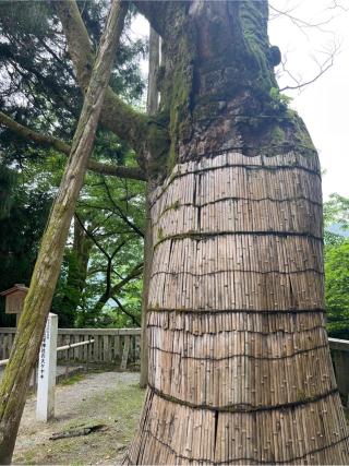 荒御前神社（白山比咩神社）の参拝記録(⛩️🐍🐢まめ🐢🐍⛩️さん)