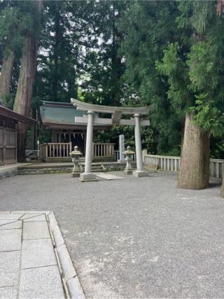荒御前神社（白山比咩神社）の参拝記録(⛩️🐍🐢まめ🐢🐍⛩️さん)