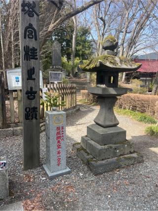 大塔宮社(小室浅間神社下宮摂社)の参拝記録(⛩️🐍🐢まめ🐢🐍⛩️さん)