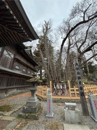 大塔宮社(小室浅間神社下宮摂社)の参拝記録(マ🌸ノさん)