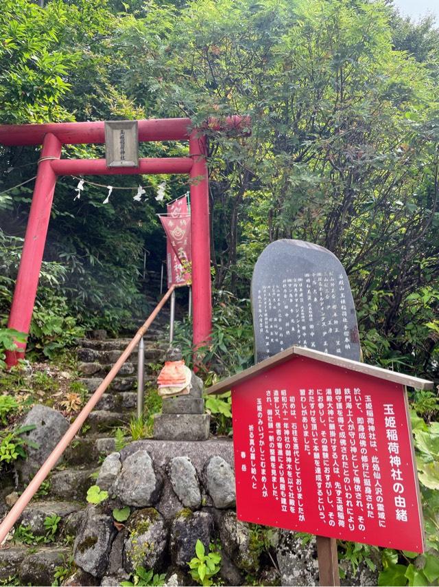 玉姫稲荷神社の参拝記録1