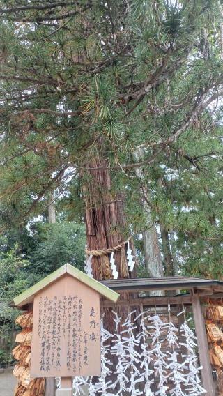 諏訪社（大崎八幡宮境内社）の参拝記録(SFUKUさん)