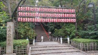 龍神社（大崎八幡宮境内社）の参拝記録(SFUKUさん)