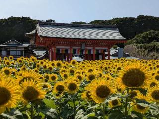 補陀落山 満願寺（犬吠埼観音）の参拝記録(うーさんさん)