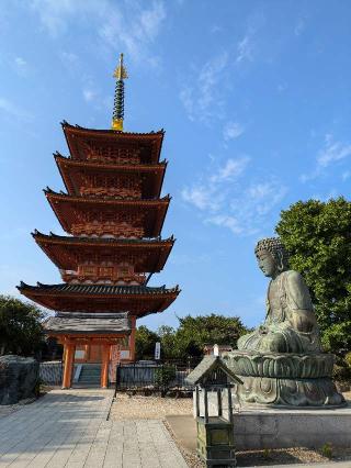 飯沼山 圓福寺の参拝記録(うーさんさん)