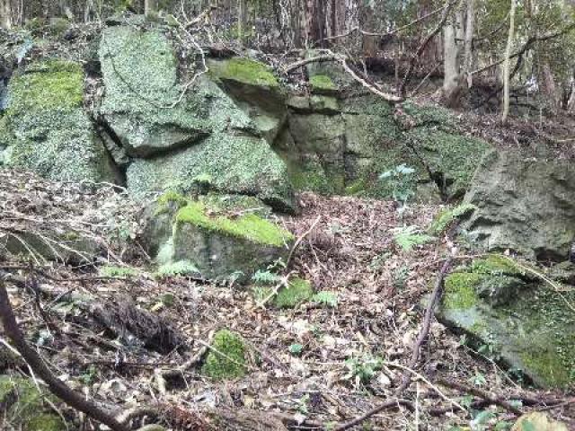奈良県宇陀市室生三本松326 神明神社 (室生三本松)の写真3