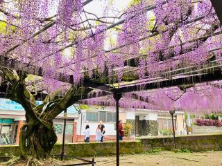 素盞鳴神社の参拝記録(おにぎりさん)