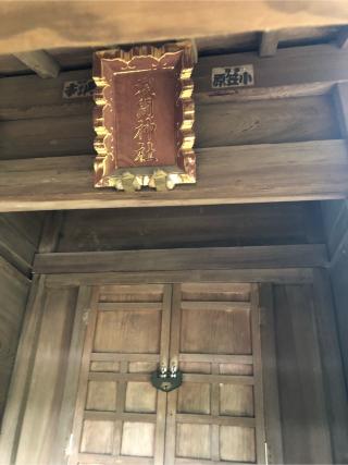 浅間神社の参拝記録(こーちんさん)