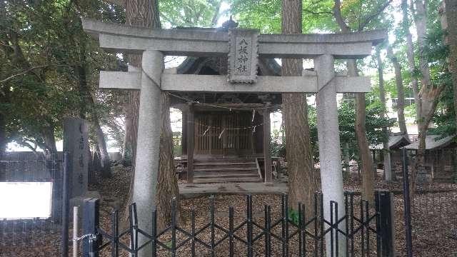 八坂神社の参拝記録5