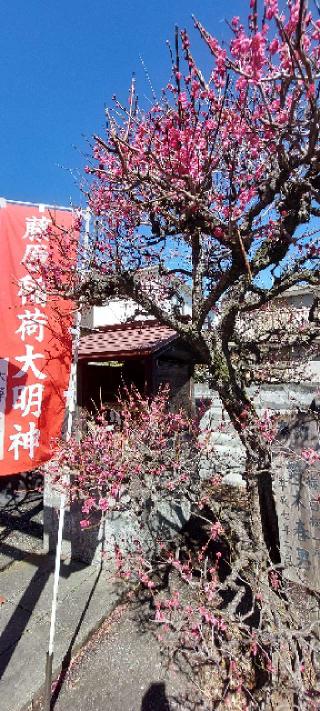 藤原稲荷大明神の参拝記録(まーぼーさん)