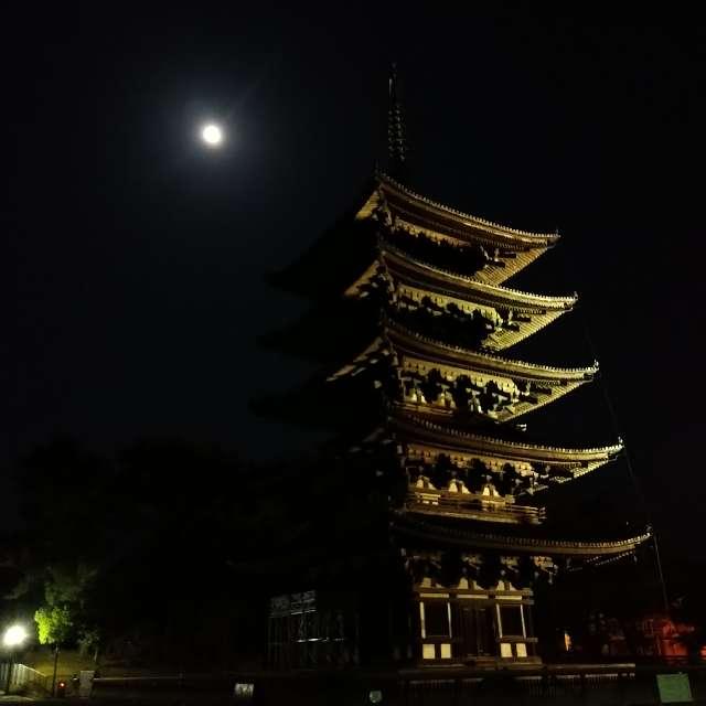 奈良県奈良市登大路町48番地 興福寺 五重塔の写真3