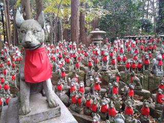 妙厳寺 豊川稲荷 霊狐塚の参拝記録(ゆーたさん)