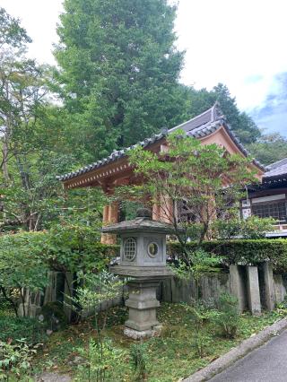 高乗寺(髙乗寺)の参拝記録(tsuさん)