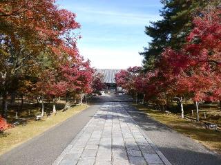 仁和寺 金堂の参拝記録(監督まっちゃんさん)