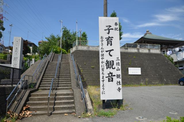 東京都町田市成瀬2-11-9 観性寺の写真3