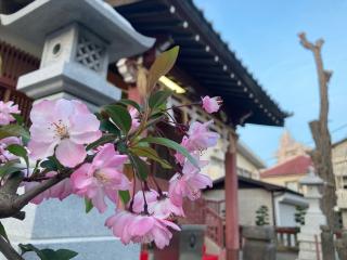 原稲荷神社の参拝記録(忍さん)