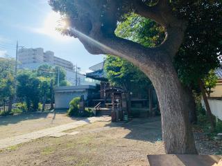 小台天祖神社の参拝記録(shikigami_hさん)